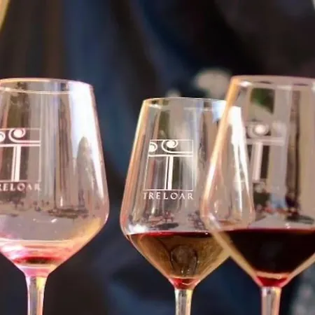 Winemakers 펜션 Trouillas